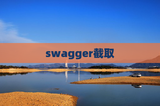 swagger截取